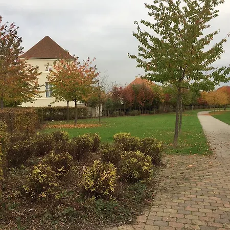 Koechi * Magny-le-Hongre
